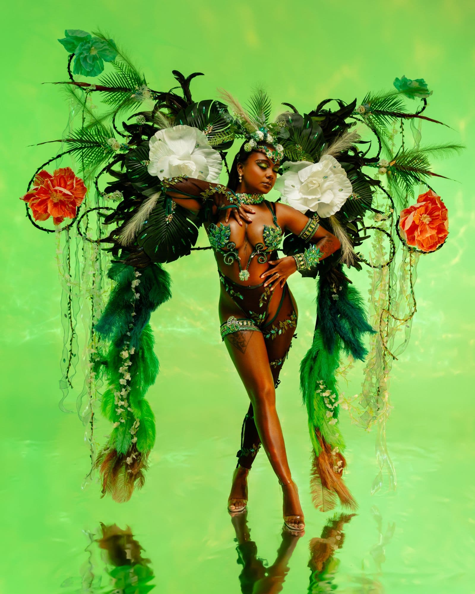 Package image