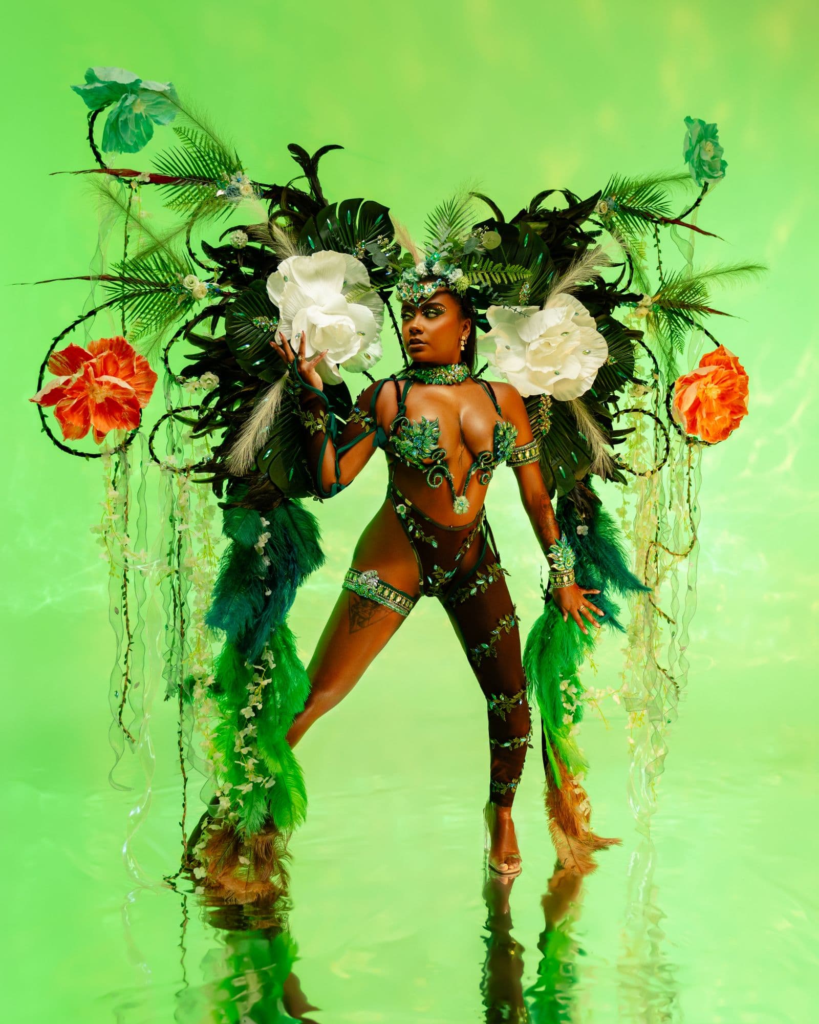 Package image