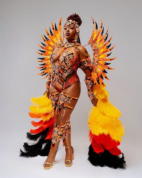 FRENZY Monokini